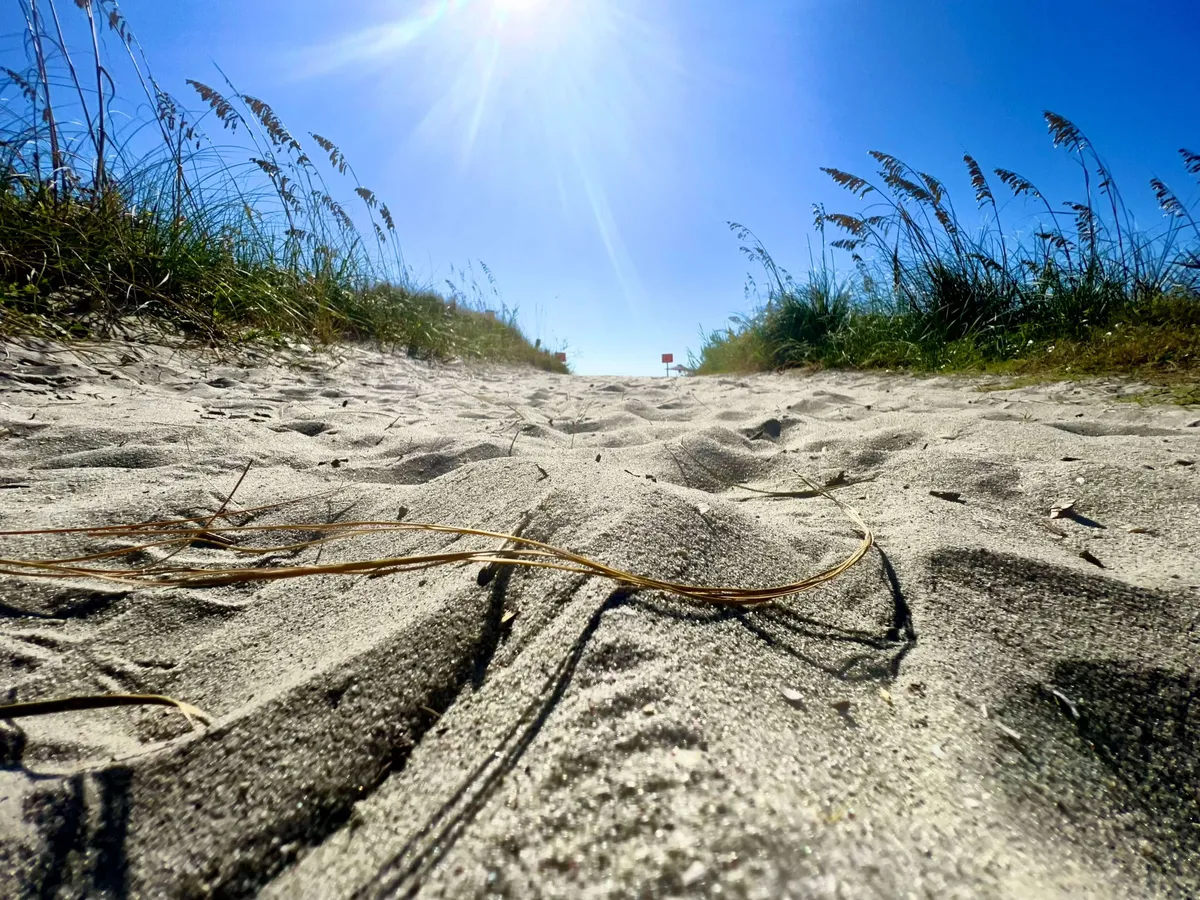 A sandy pathway winds through grassy dunes and leads directly to the sunlit beach. The serenity of untouched sand and natural beauty invites guests to take a short stroll from the property to the ocean, capturing the essence of easy beach access.